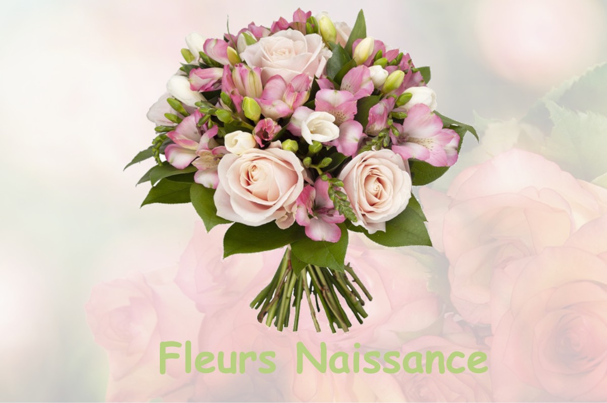 fleurs naissance BANOS