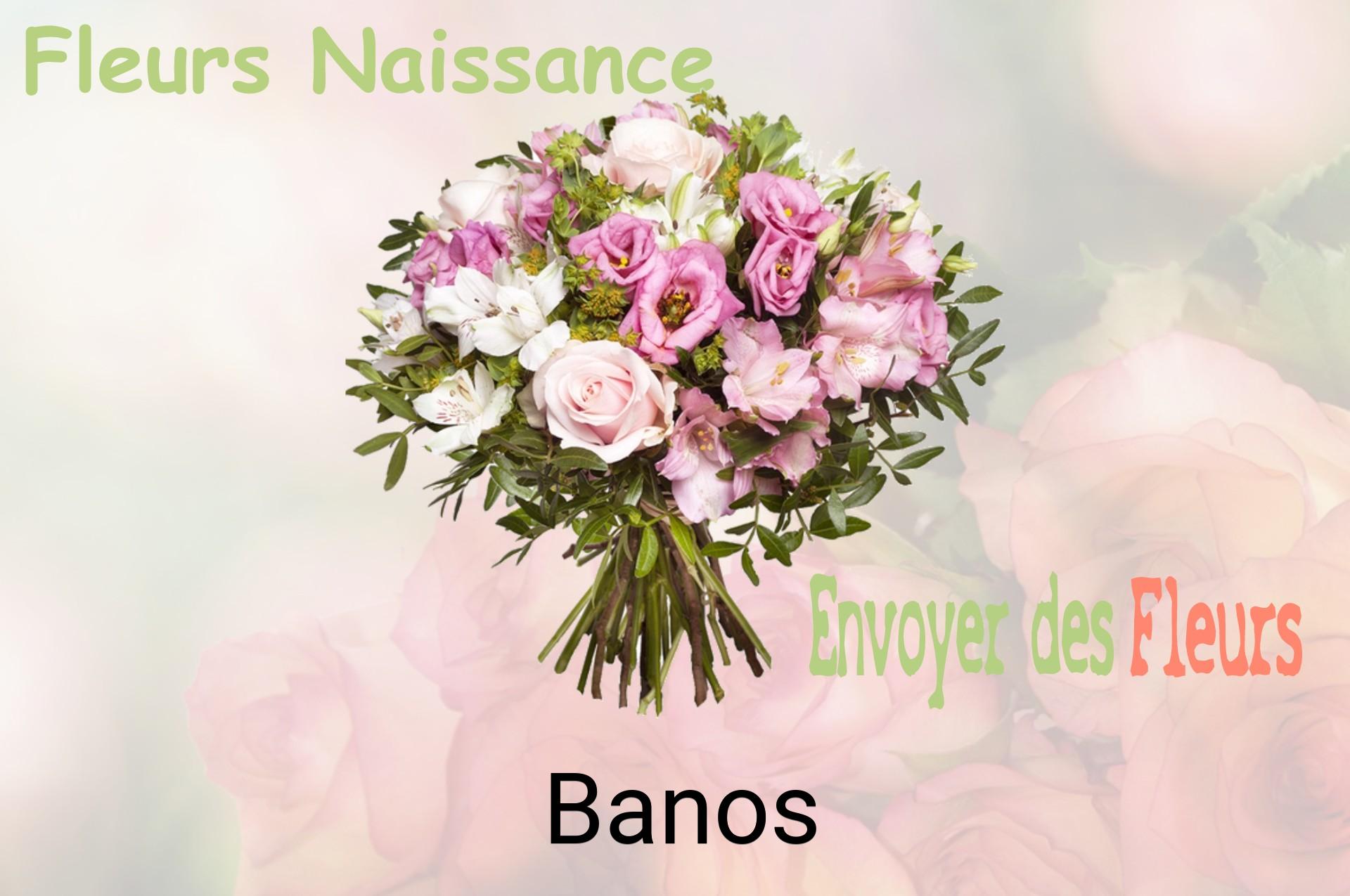 Bouquet de fleurs de naissance livré à Banos