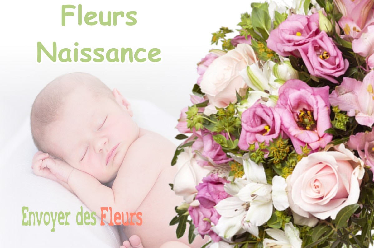 lIVRAISON FLEURS NAISSANCE à BANOS